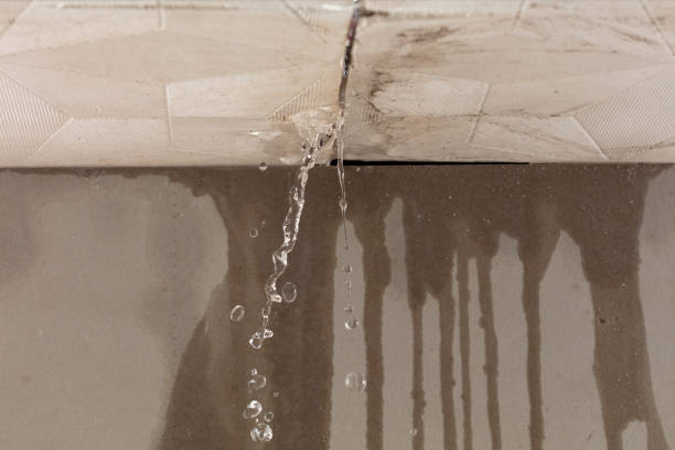 Professional Water Damage Repair technician working in Washougal, WA